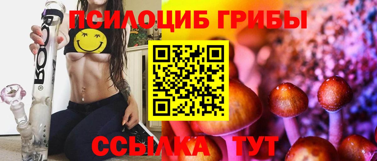 Галлюциногенные грибы GOLDEN TEACHER  Вход с VPN  Алапаевск 